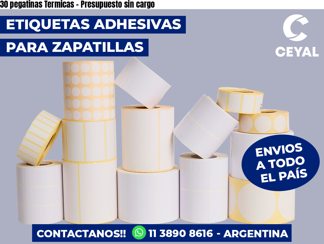 30 pegatinas Termicas – Presupuesto sin cargo