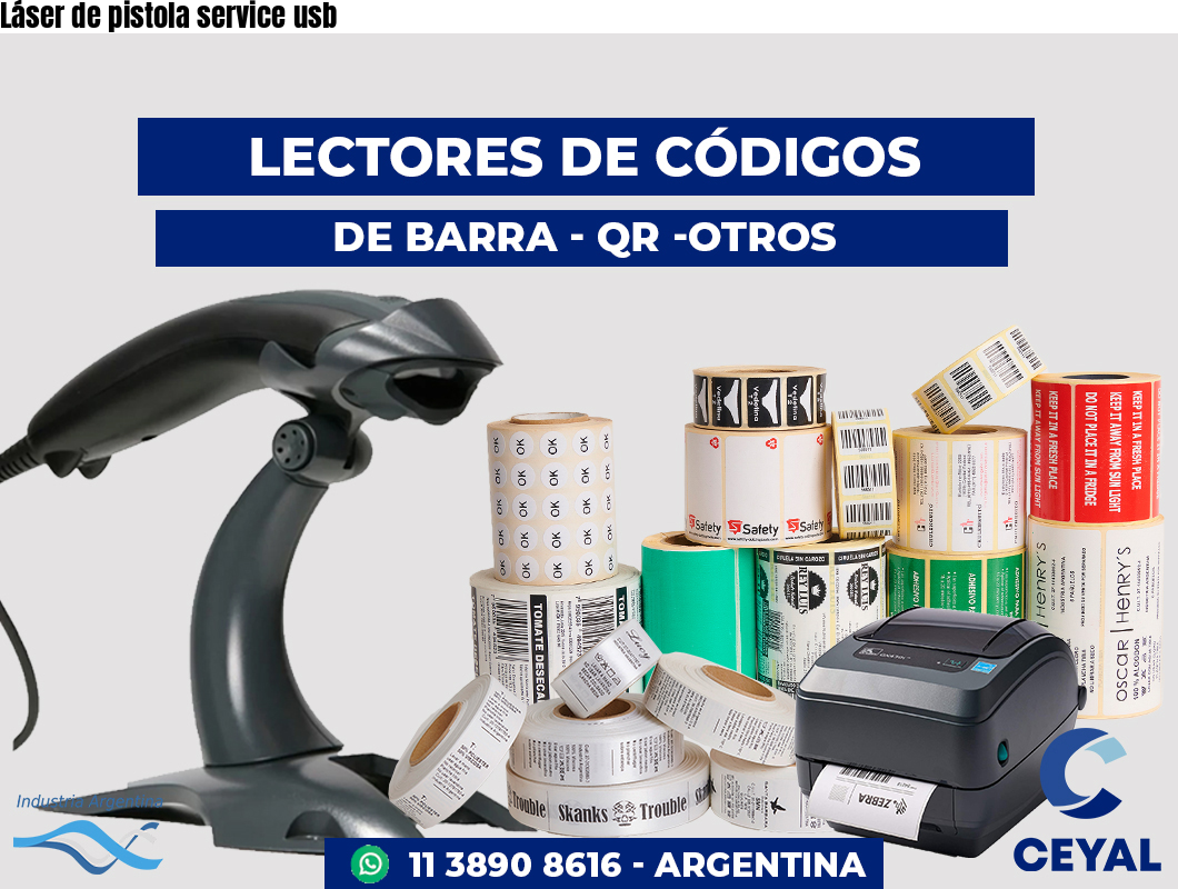 Láser de pistola service usb
