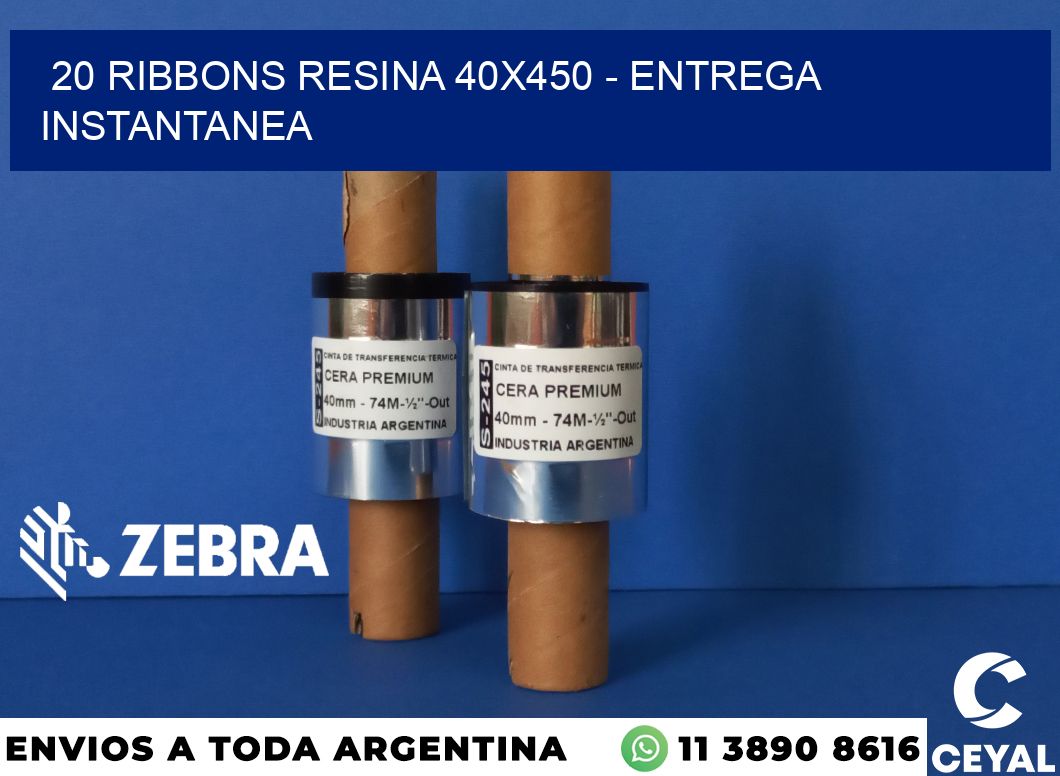 20 Ribbons resina 40x450 - entrega instantanea