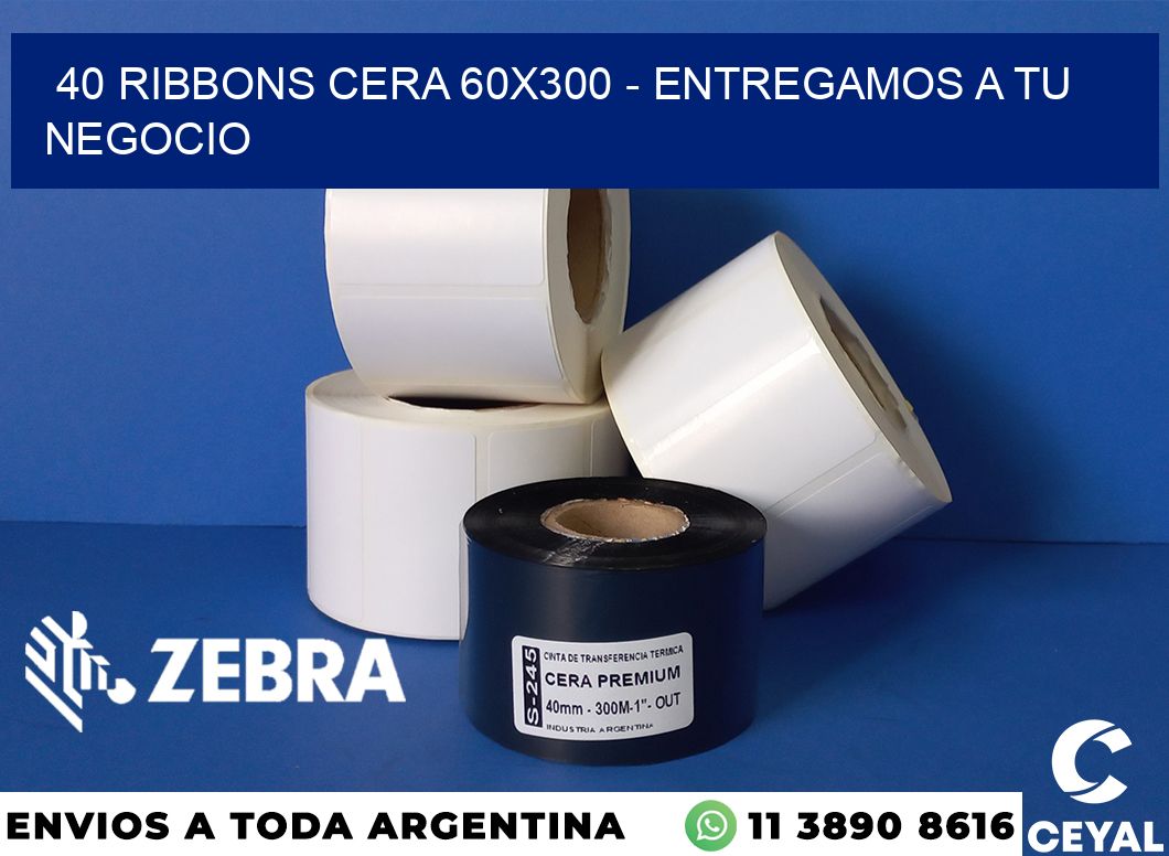 40 Ribbons cera 60x300 - entregamos a tu negocio
