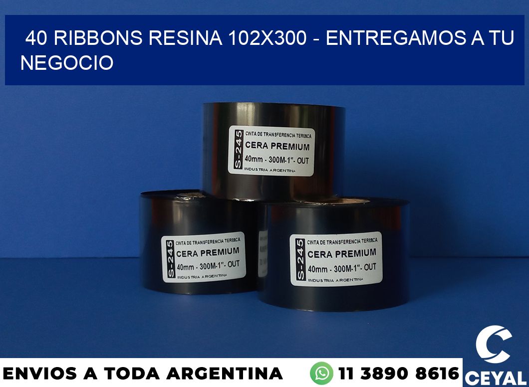 40 Ribbons resina 102×300 – entregamos a tu negocio