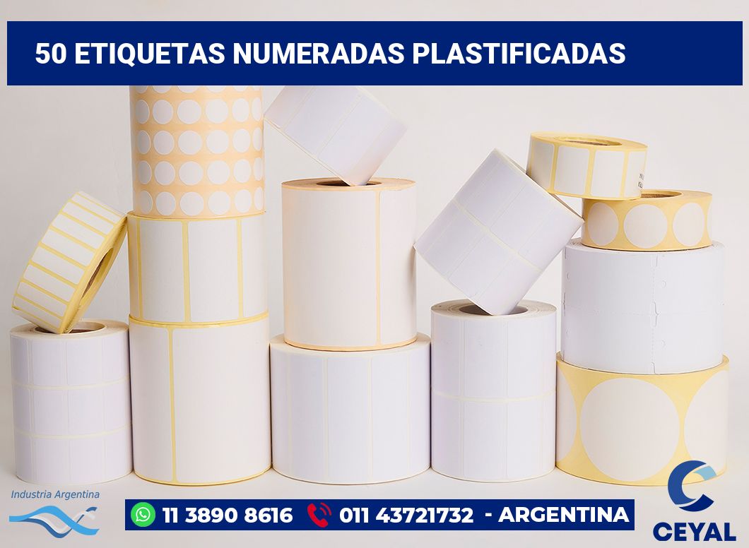 50 Etiquetas numeradas plastificadas