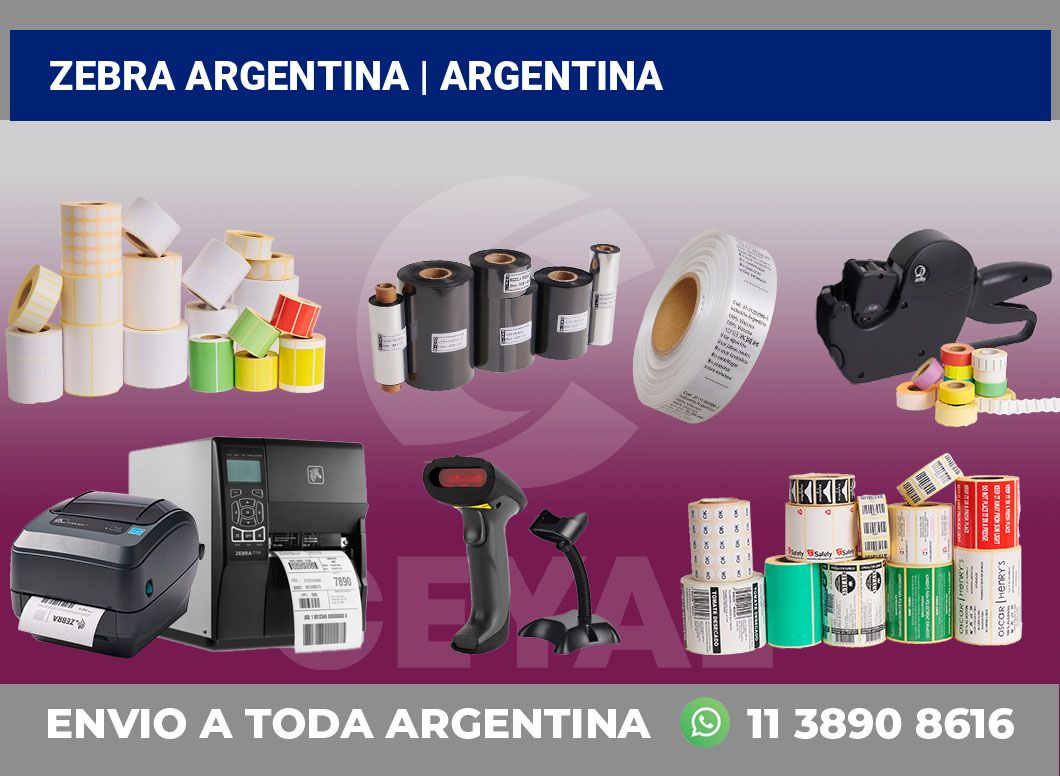 Zebra argentina | Argentina
