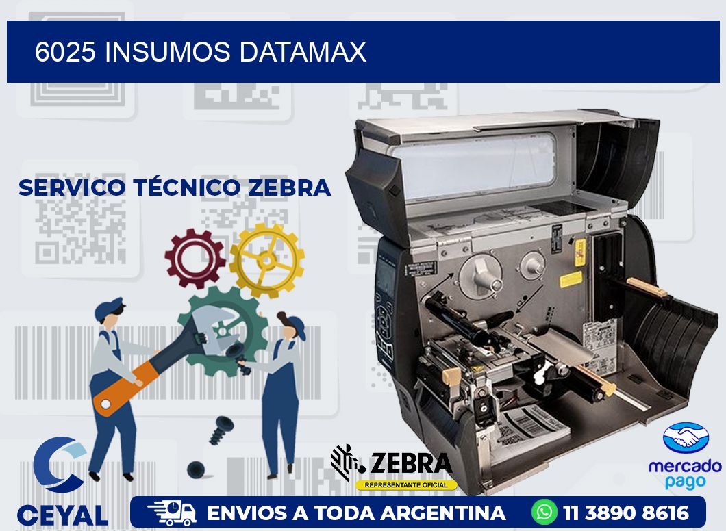 6025 INSUMOS DATAMAX