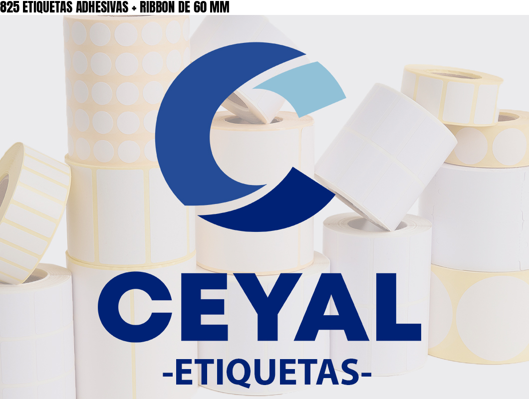 825 ETIQUETAS ADHESIVAS + RIBBON DE 60 MM