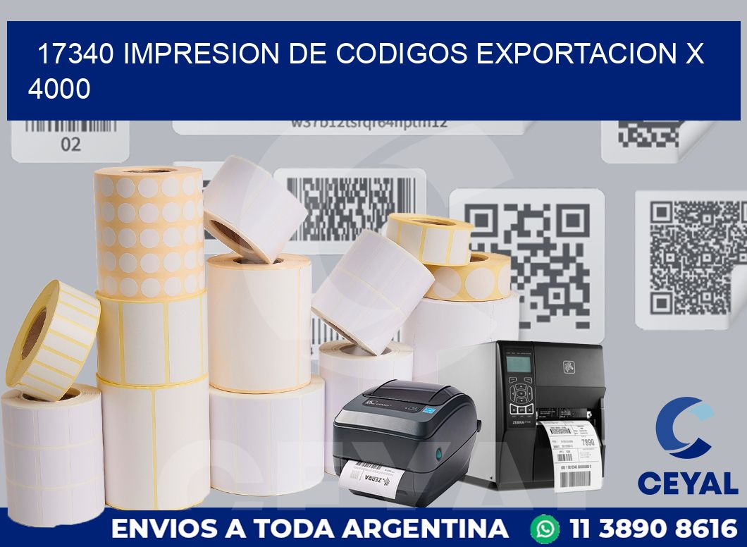 17340 impresion de codigos exportacion x 4000