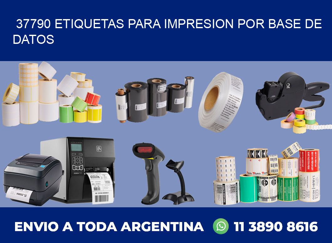 37790 ETIQUETAS PARA IMPRESION POR BASE DE DATOS