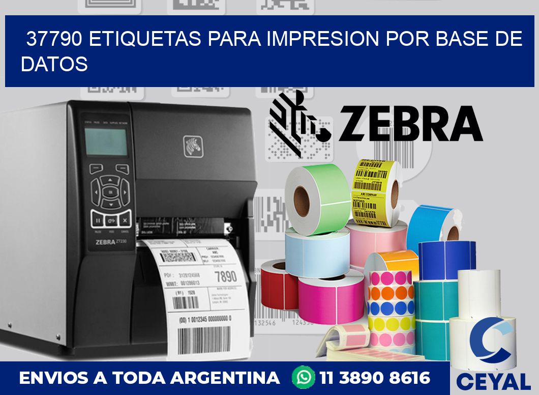37790 ETIQUETAS PARA IMPRESION POR BASE DE DATOS