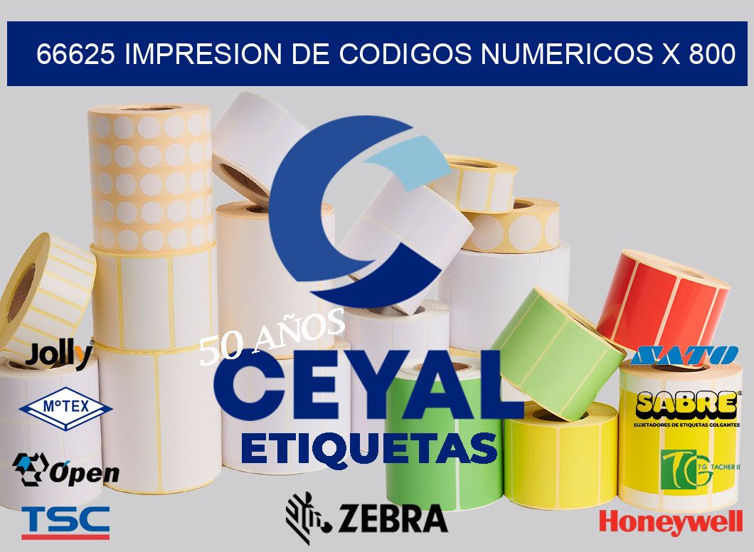66625 impresion de codigos numericos x 800