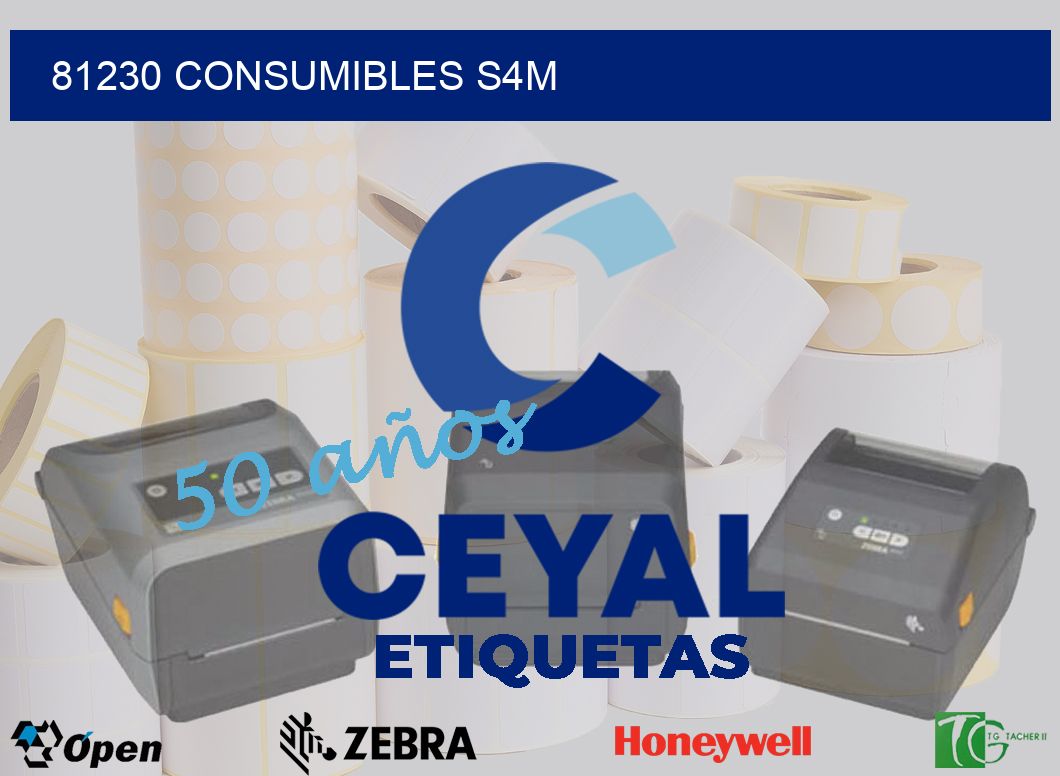 81230 CONSUMIBLES S4M