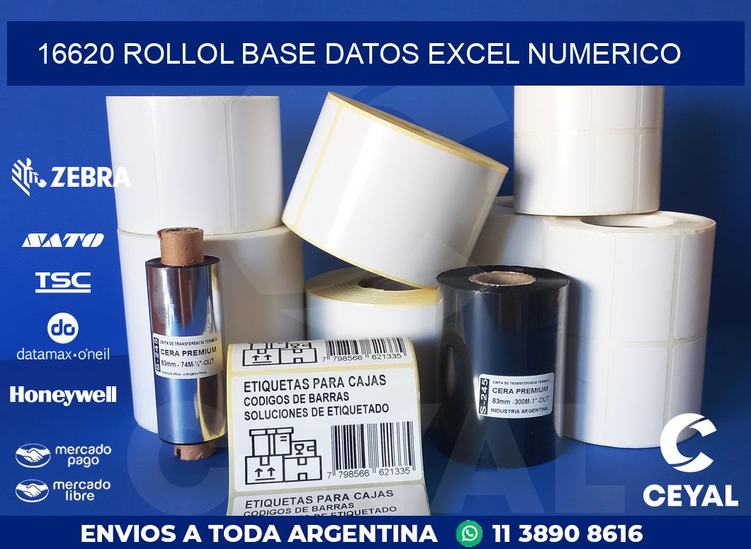 16620 rollol base datos excel numerico