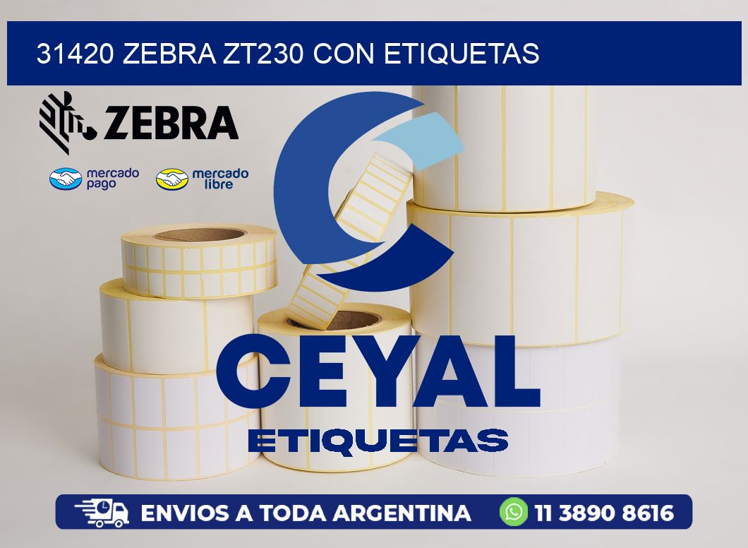 31420 Zebra ZT230 con Etiquetas
