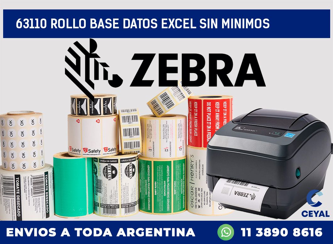 63110 rollo base datos excel sin minimos