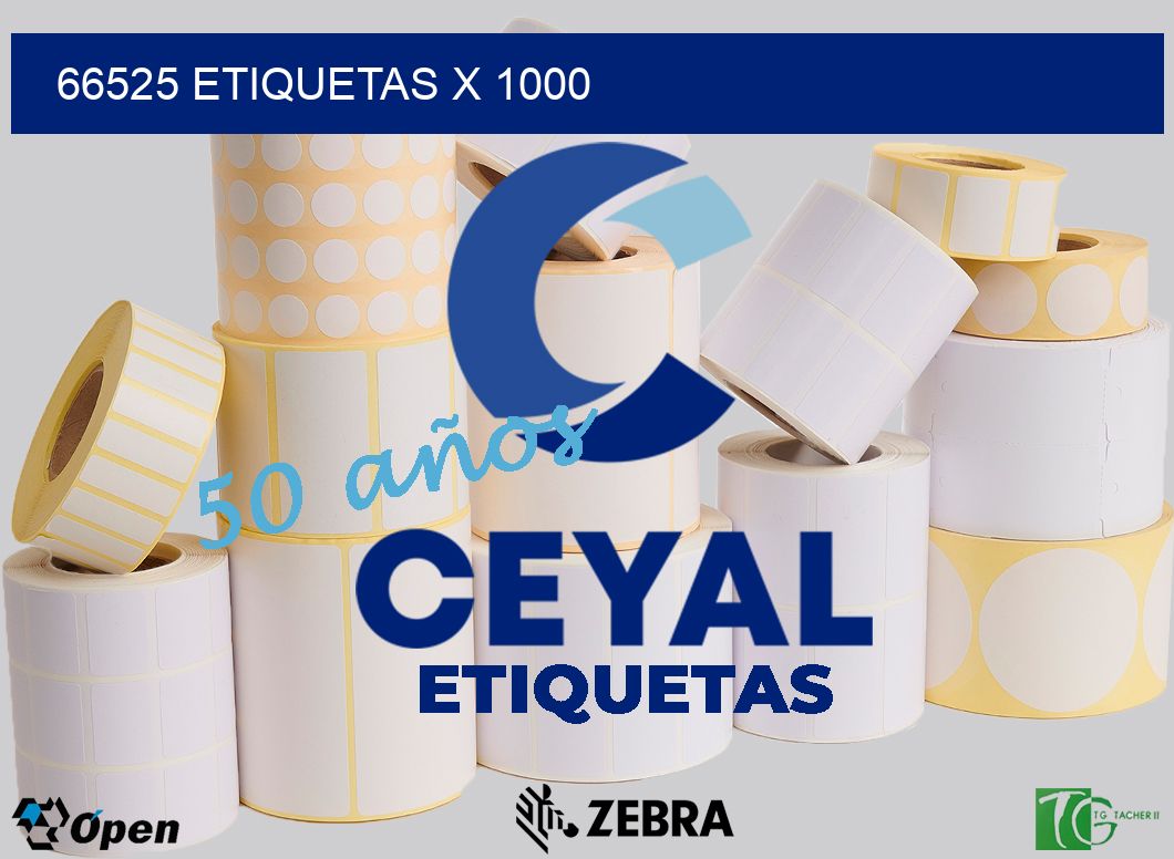 66525 ETIQUETAS X 1000