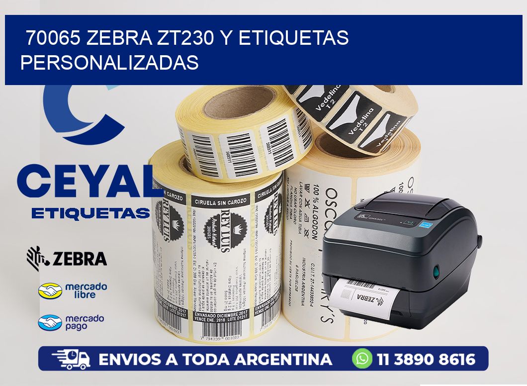 70065 Zebra ZT230 y Etiquetas Personalizadas