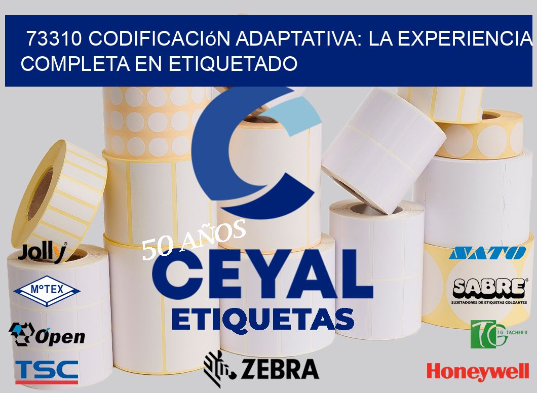 73310 Codificación Adaptativa: La Experiencia Completa en Etiquetado