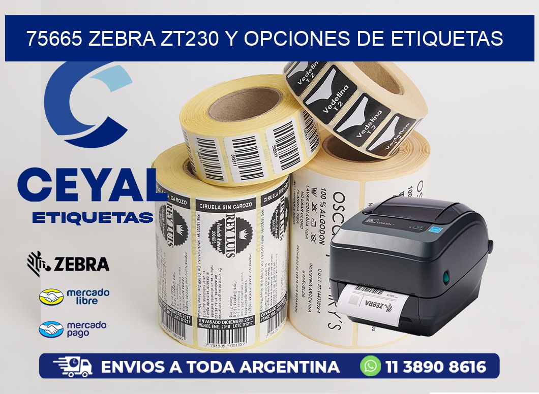 75665 Zebra ZT230 y Opciones de Etiquetas