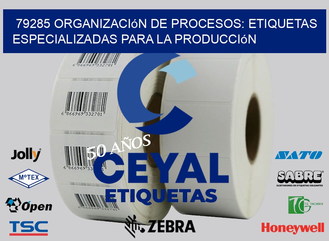 79285 Organización de Procesos: Etiquetas Especializadas para la Producción