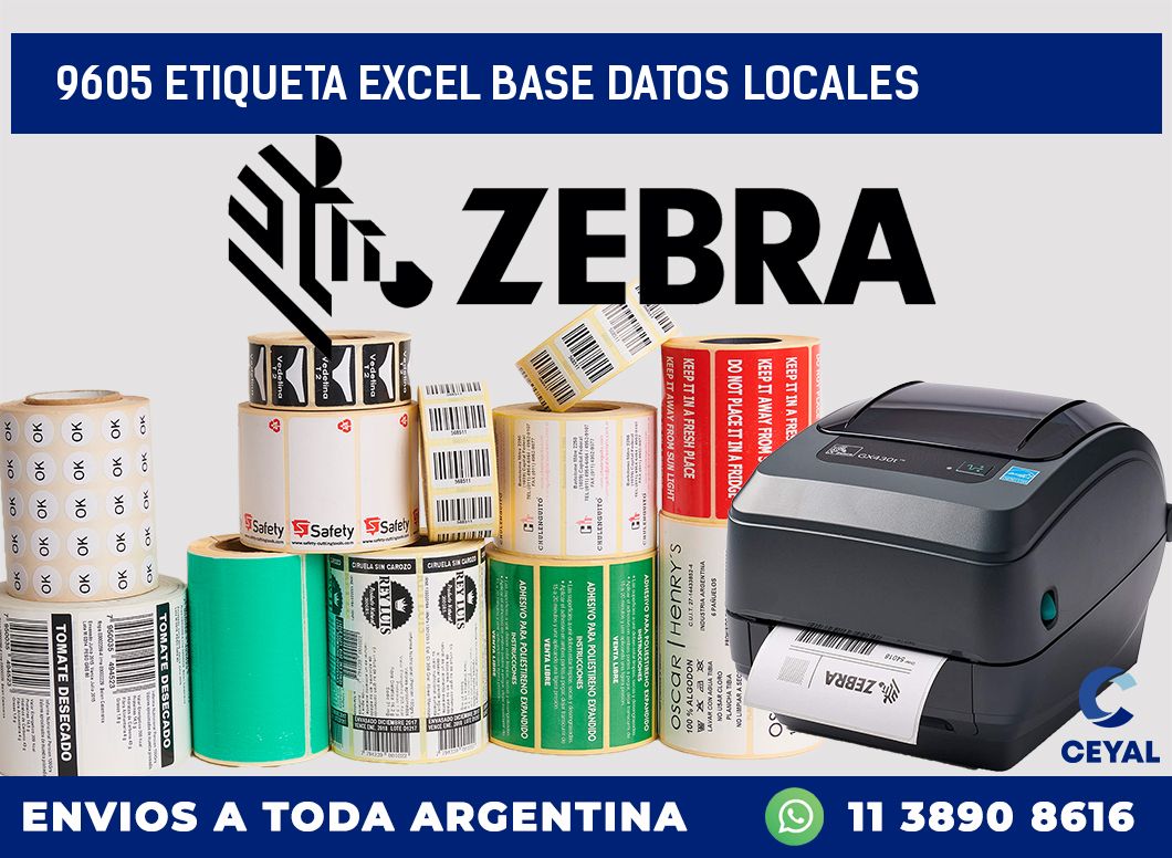 9605 etiqueta excel base datos locales