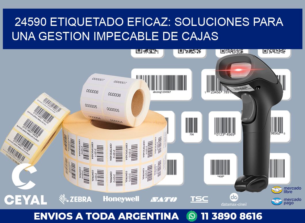 24590 ETIQUETADO EFICAZ: SOLUCIONES PARA UNA GESTION IMPECABLE DE CAJAS