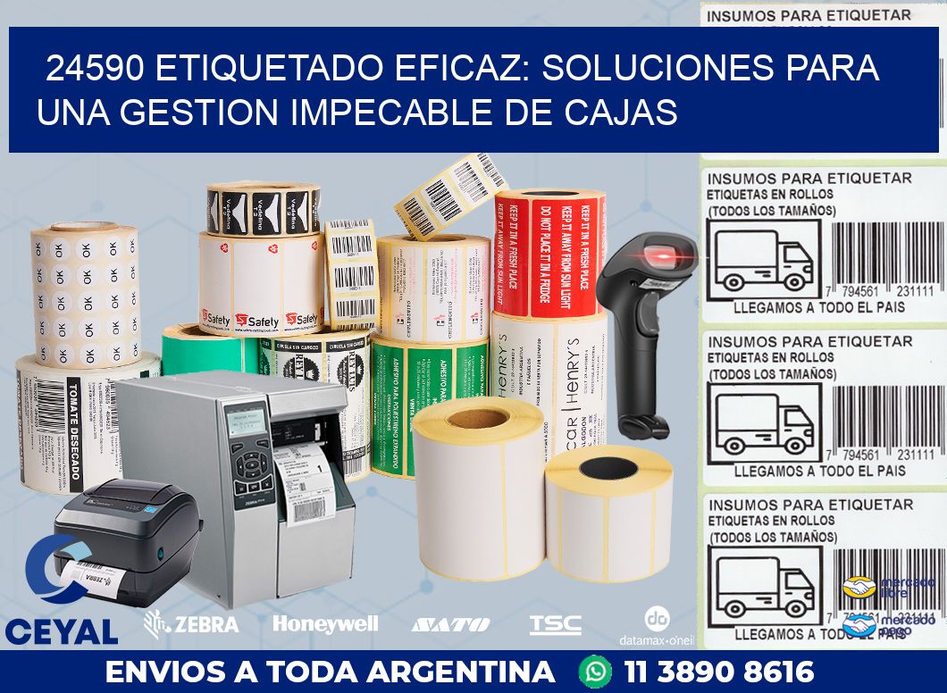 24590 ETIQUETADO EFICAZ: SOLUCIONES PARA UNA GESTION IMPECABLE DE CAJAS