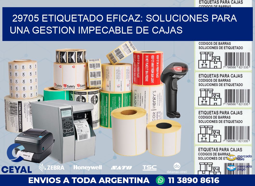 29705 ETIQUETADO EFICAZ: SOLUCIONES PARA UNA GESTION IMPECABLE DE CAJAS