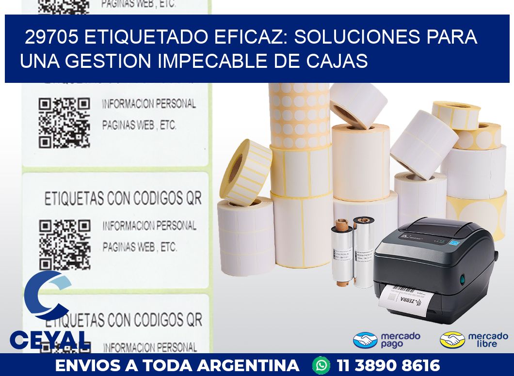 29705 ETIQUETADO EFICAZ: SOLUCIONES PARA UNA GESTION IMPECABLE DE CAJAS