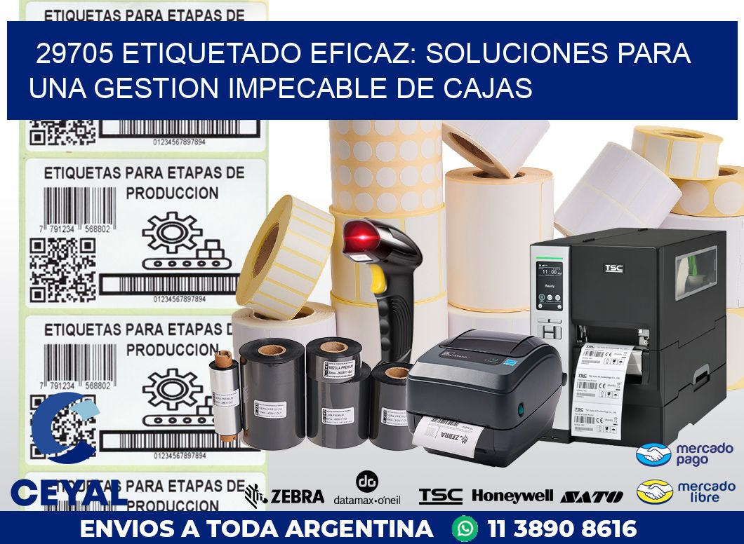 29705 ETIQUETADO EFICAZ: SOLUCIONES PARA UNA GESTION IMPECABLE DE CAJAS