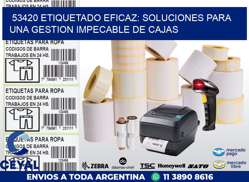 53420 ETIQUETADO EFICAZ: SOLUCIONES PARA UNA GESTION IMPECABLE DE CAJAS