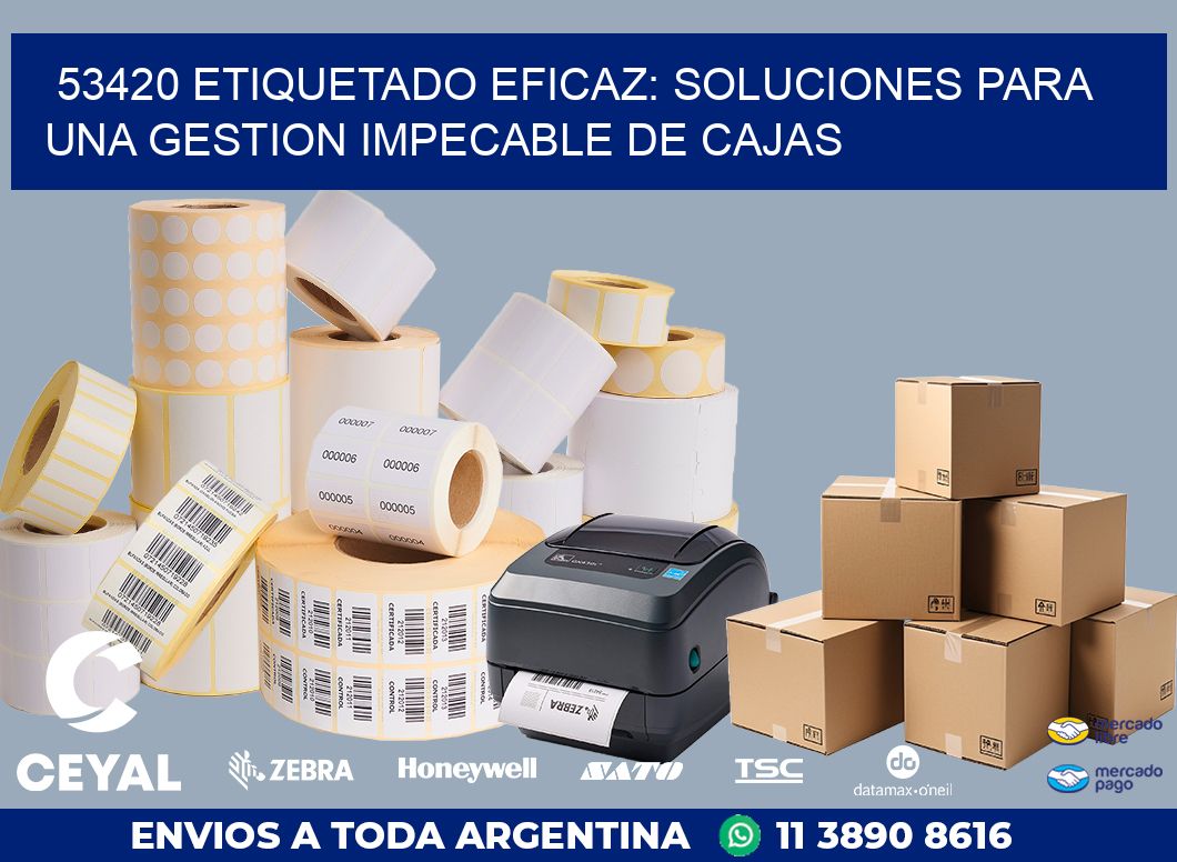 53420 ETIQUETADO EFICAZ: SOLUCIONES PARA UNA GESTION IMPECABLE DE CAJAS