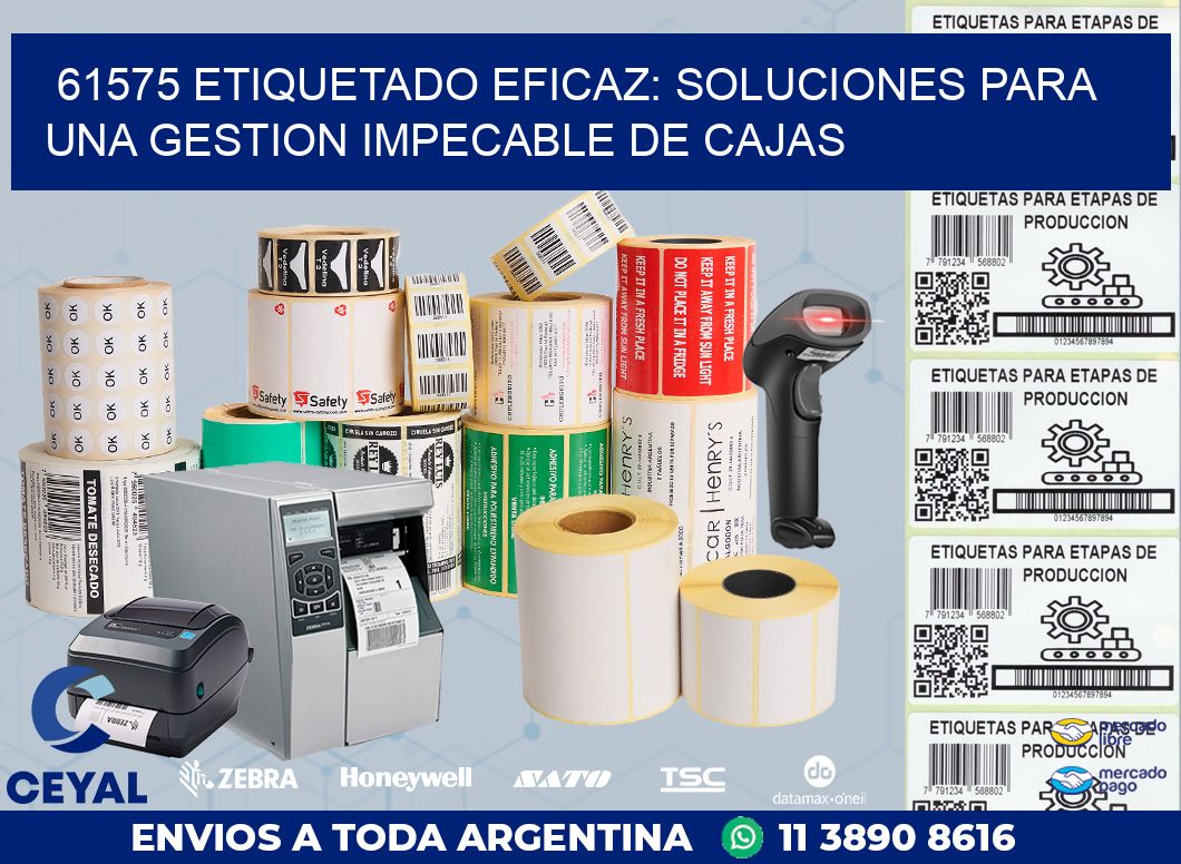 61575 ETIQUETADO EFICAZ: SOLUCIONES PARA UNA GESTION IMPECABLE DE CAJAS