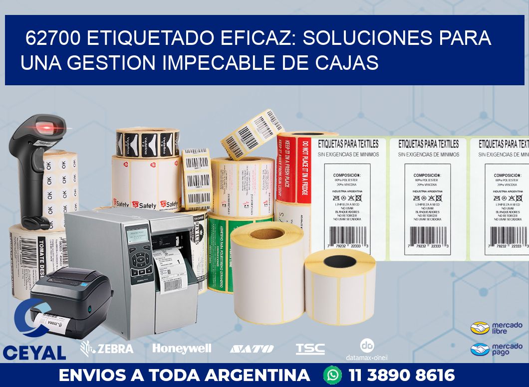 62700 ETIQUETADO EFICAZ: SOLUCIONES PARA UNA GESTION IMPECABLE DE CAJAS