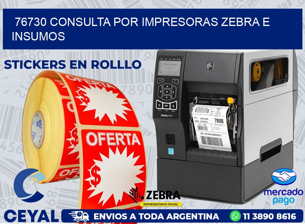 76730 CONSULTA POR IMPRESORAS ZEBRA E INSUMOS