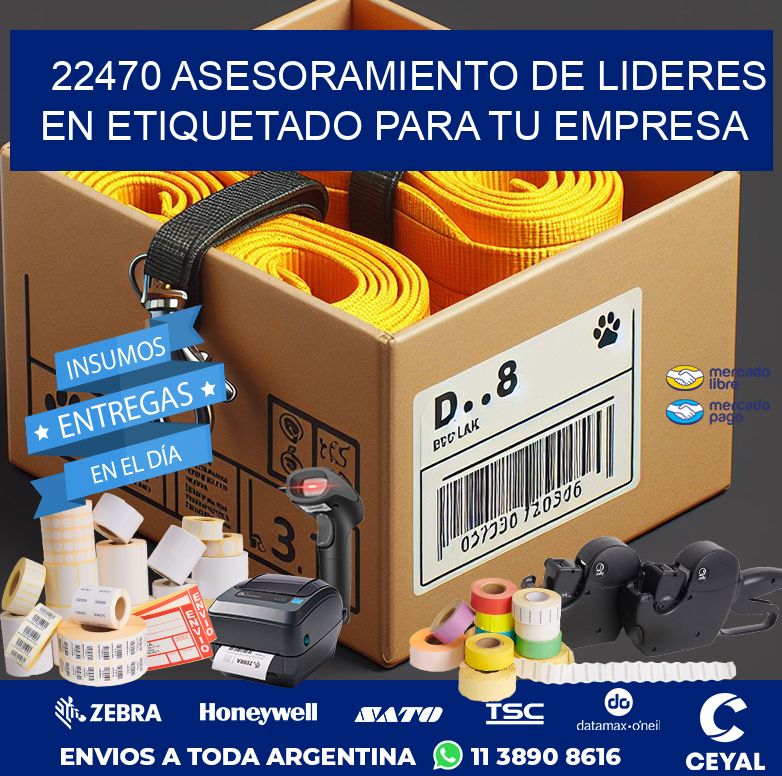 22470 ASESORAMIENTO DE LIDERES EN ETIQUETADO PARA TU EMPRESA