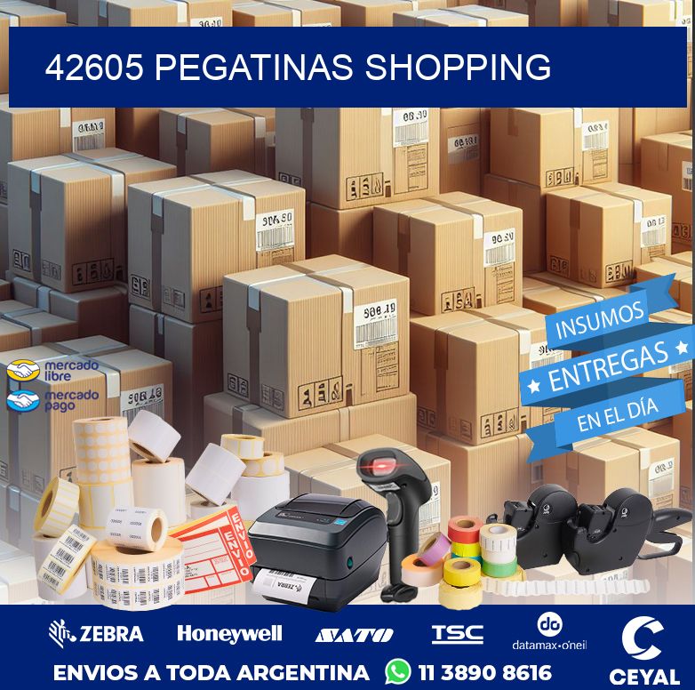 42605 PEGATINAS SHOPPING