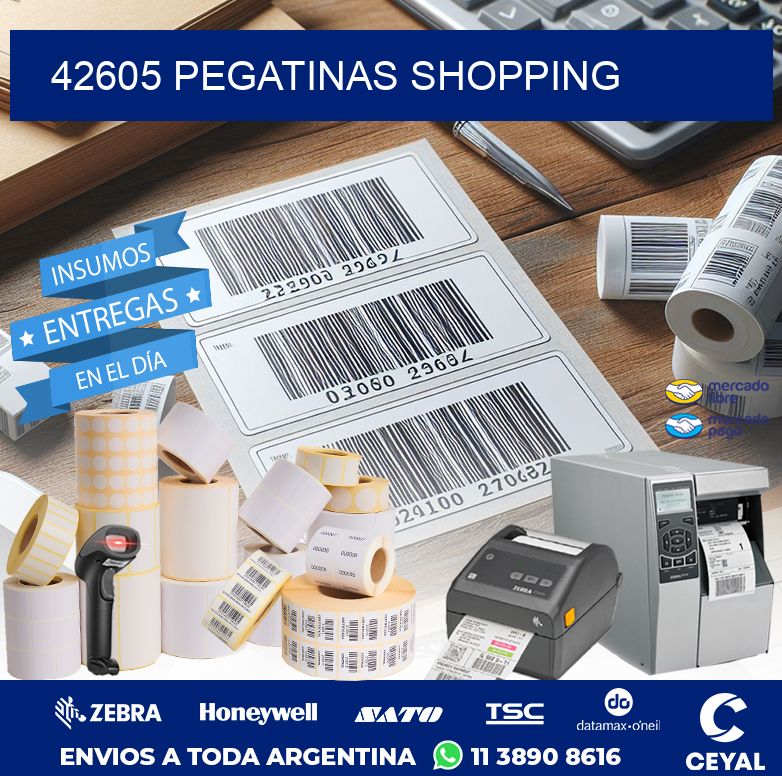 42605 PEGATINAS SHOPPING