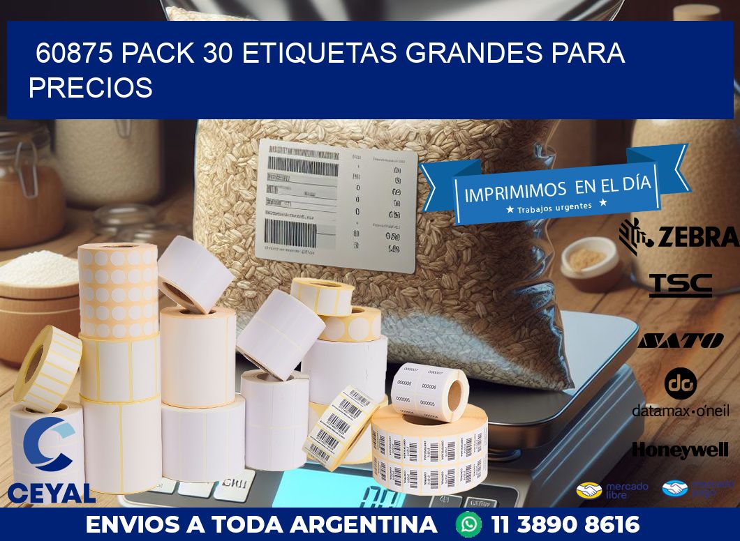 60875 PACK 30 ETIQUETAS GRANDES PARA PRECIOS