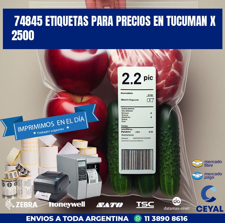 74845 ETIQUETAS PARA PRECIOS EN TUCUMAN X 2500