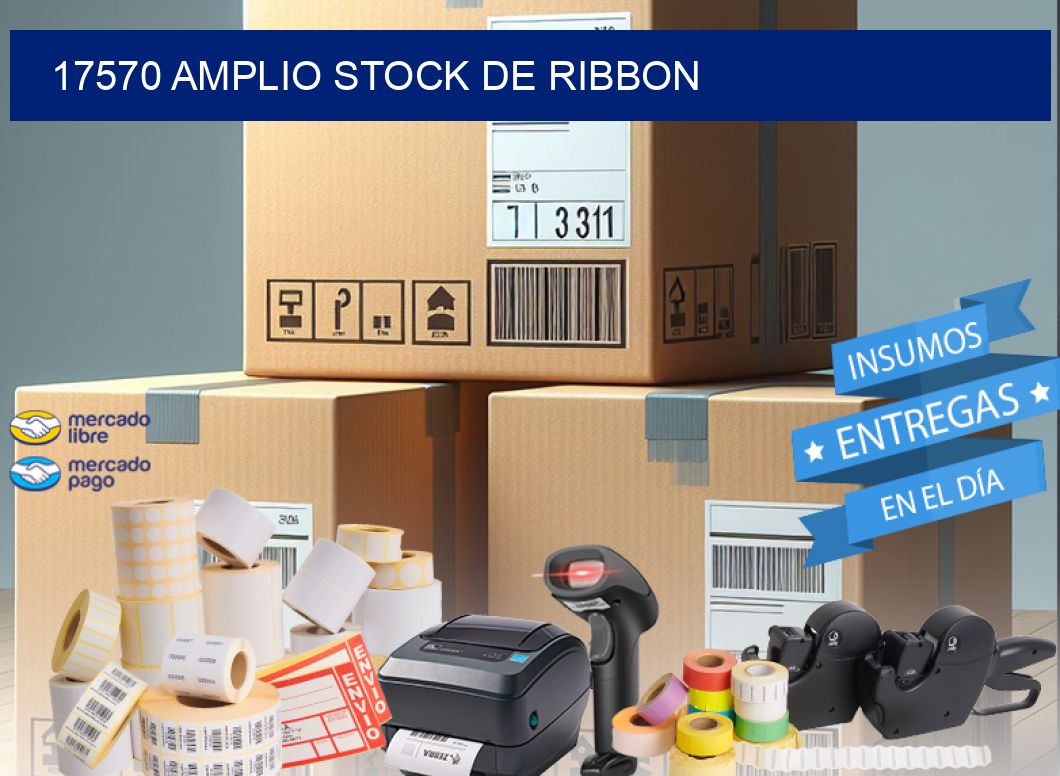 17570 AMPLIO STOCK DE RIBBON