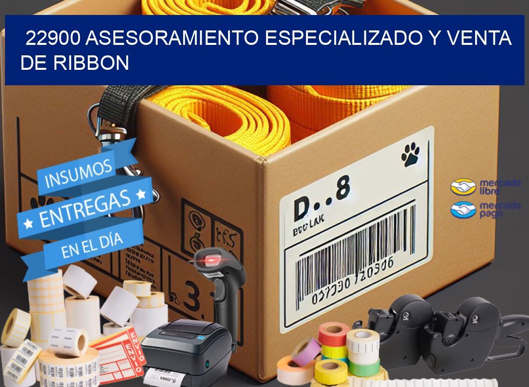 22900 ASESORAMIENTO ESPECIALIZADO Y VENTA DE RIBBON