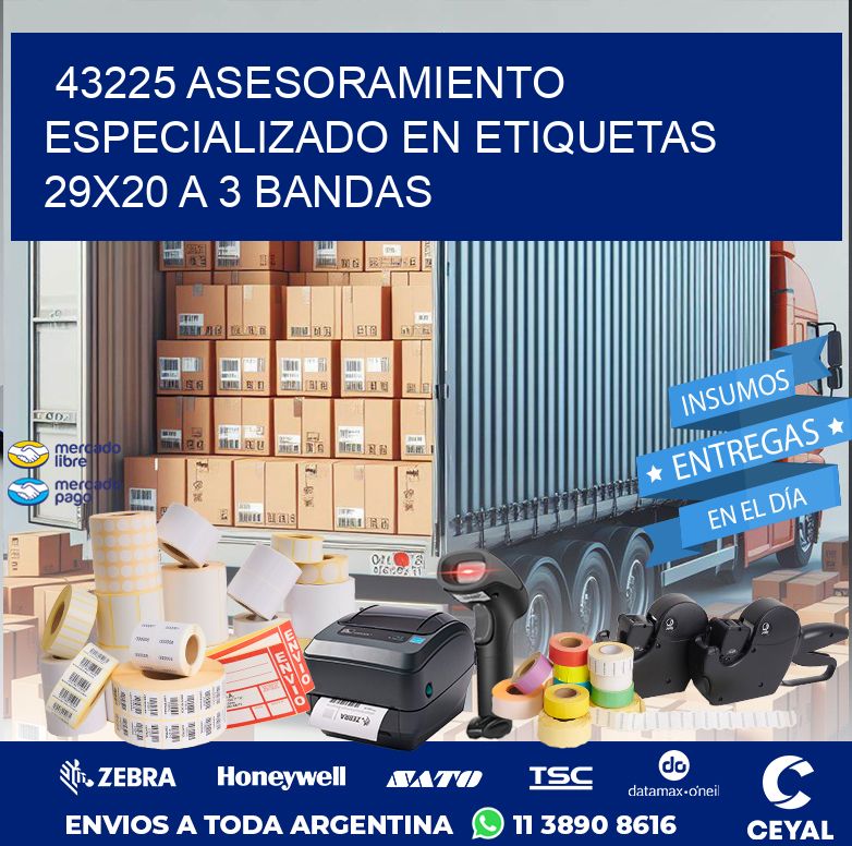 43225 ASESORAMIENTO ESPECIALIZADO EN ETIQUETAS 29X20 A 3 BANDAS