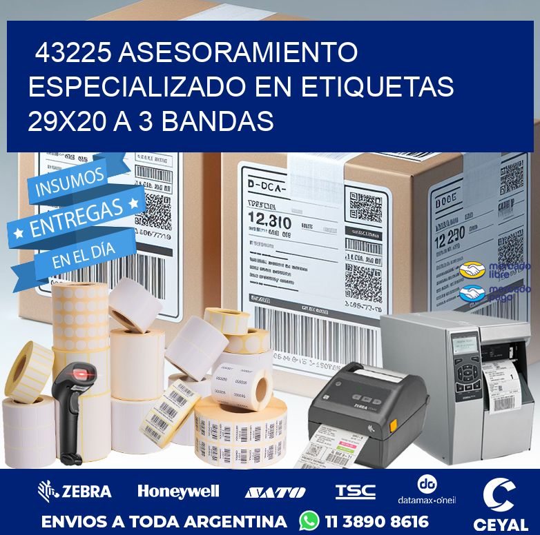 43225 ASESORAMIENTO ESPECIALIZADO EN ETIQUETAS 29X20 A 3 BANDAS