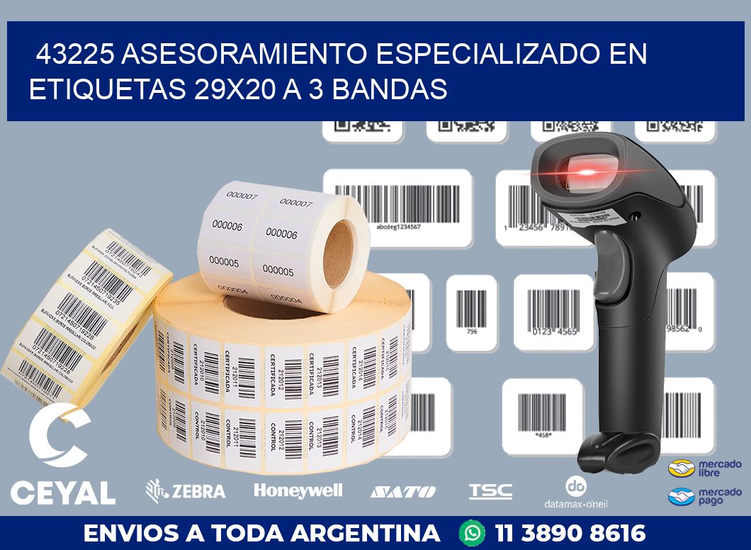 43225 ASESORAMIENTO ESPECIALIZADO EN ETIQUETAS 29X20 A 3 BANDAS