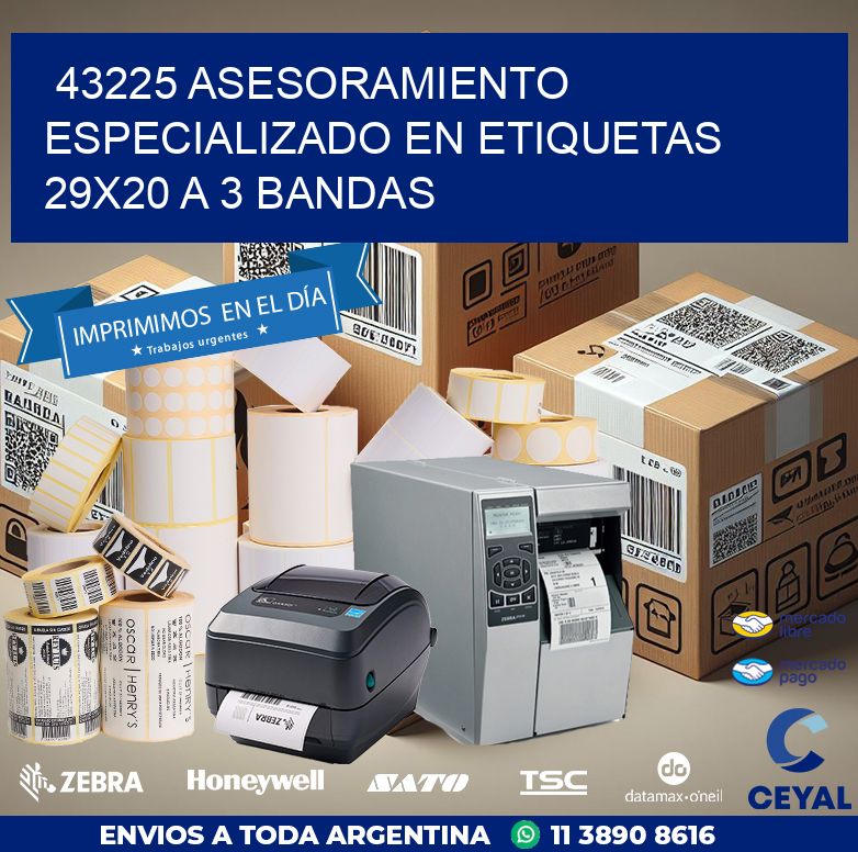 43225 ASESORAMIENTO ESPECIALIZADO EN ETIQUETAS 29X20 A 3 BANDAS