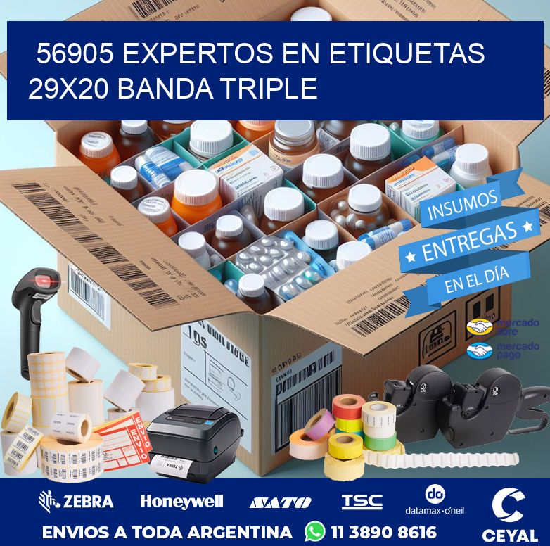 56905 EXPERTOS EN ETIQUETAS 29X20 BANDA TRIPLE