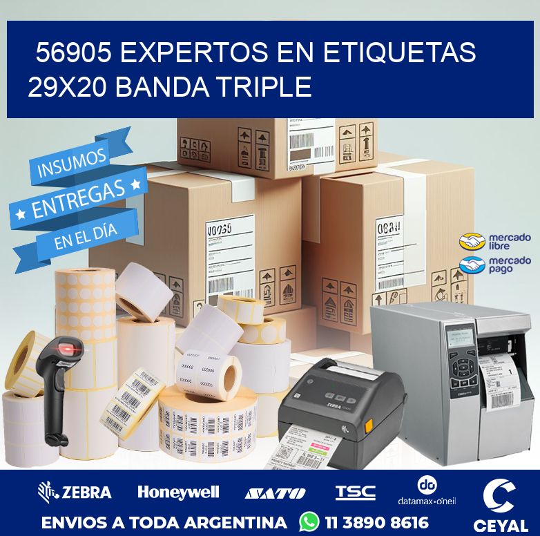 56905 EXPERTOS EN ETIQUETAS 29X20 BANDA TRIPLE