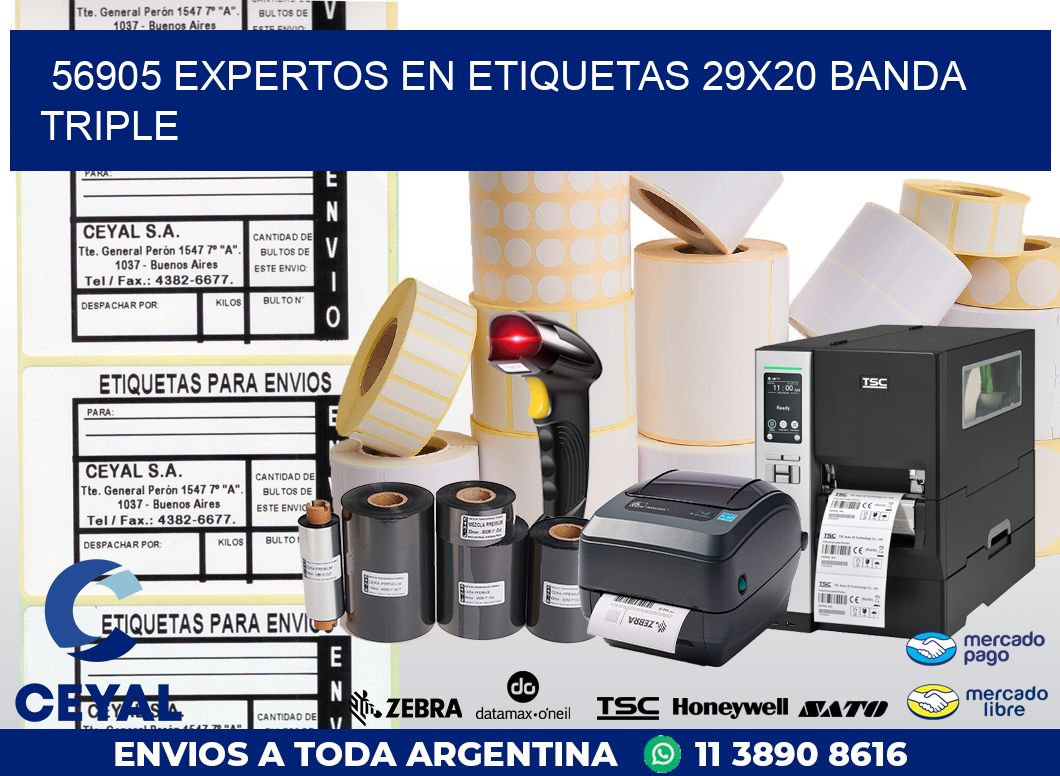 56905 EXPERTOS EN ETIQUETAS 29X20 BANDA TRIPLE