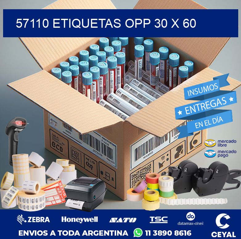 57110 ETIQUETAS OPP 30 X 60