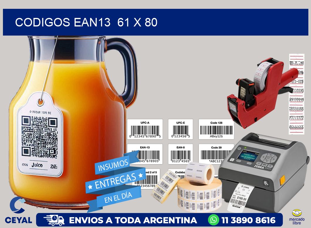 CODIGOS EAN13  61 x 80