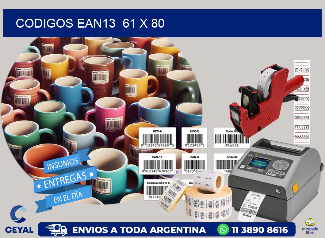 CODIGOS EAN13  61 x 80